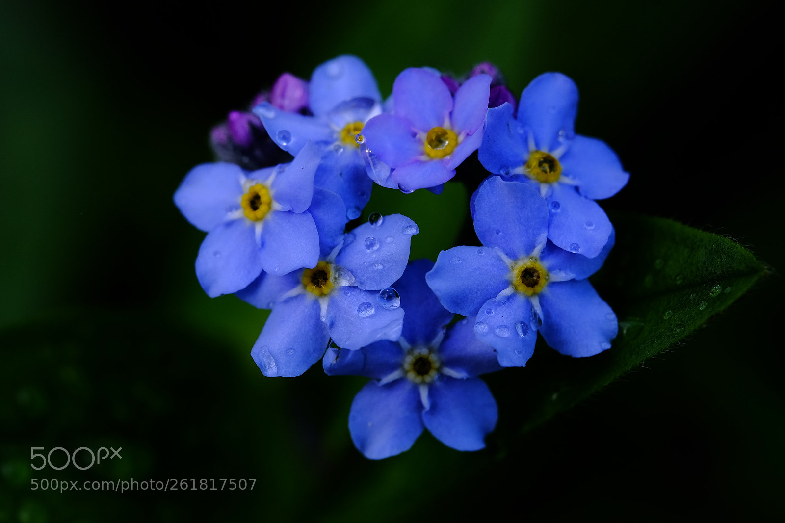 Fujifilm X-T10 sample photo. 581 photography