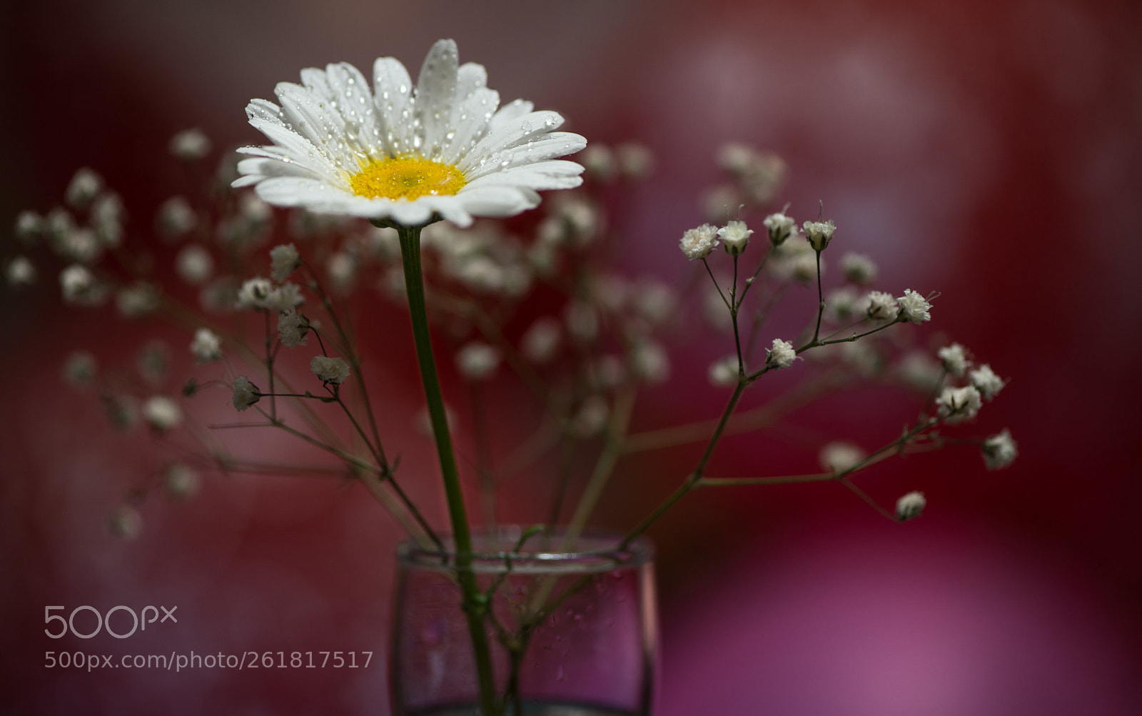 Nikon D610 sample photo. Sun in a glass photography