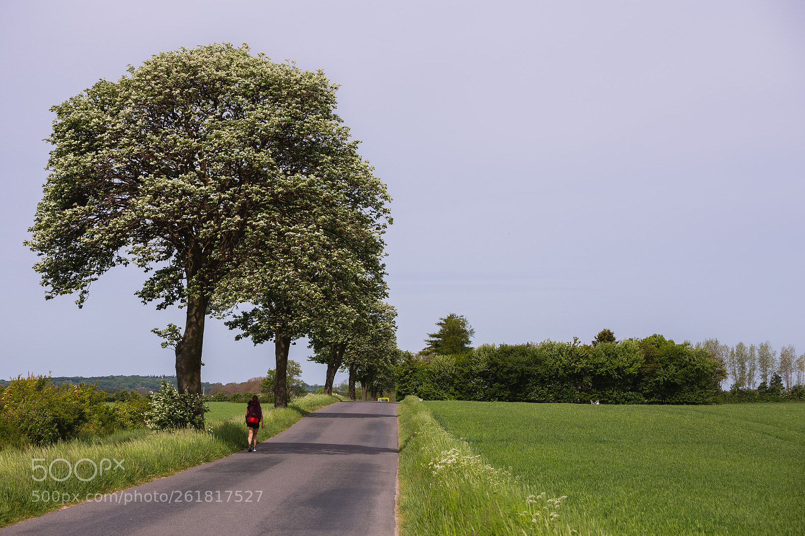Canon EOS 6D sample photo. Wandering photography