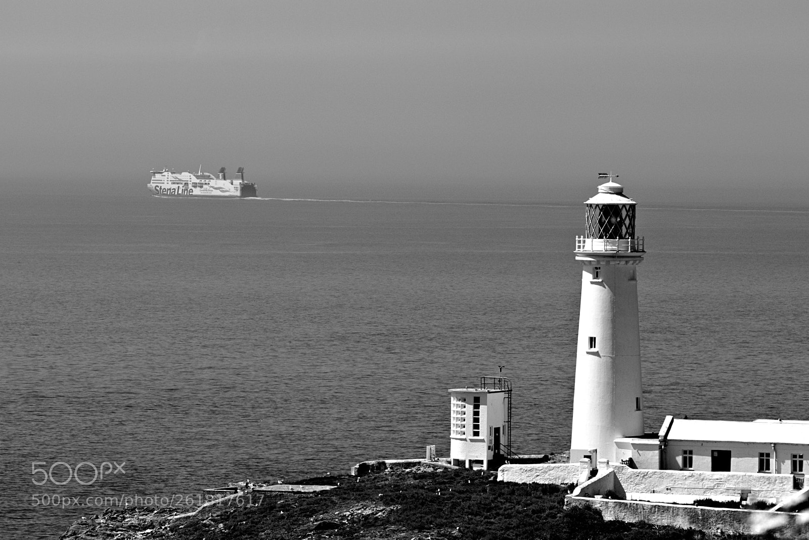 Sigma 150-600mm F5-6.3 DG OS HSM | C sample photo. South stack anglesey photography