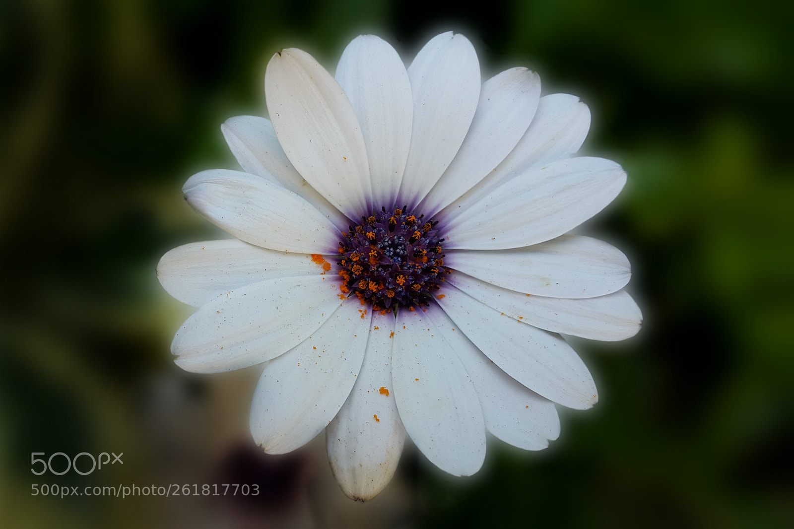 Samsung Galaxy Note4 sample photo. 334 photography