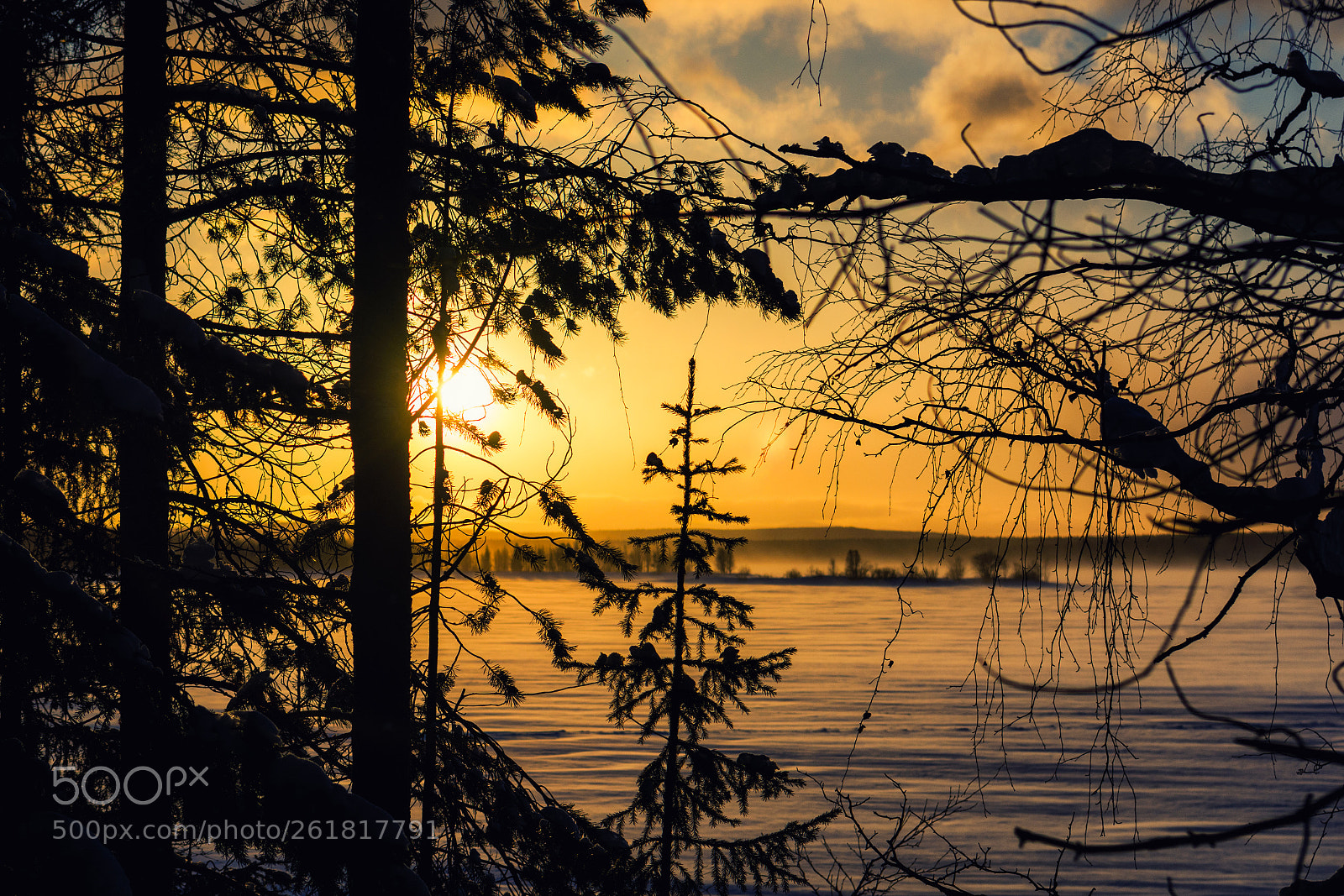 Nikon D7100 sample photo. Winter forest sunset photography