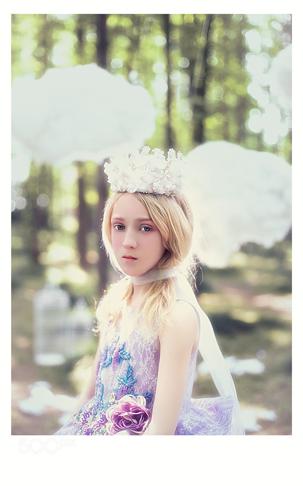 Canon EOS 6D sample photo. Untitled photography