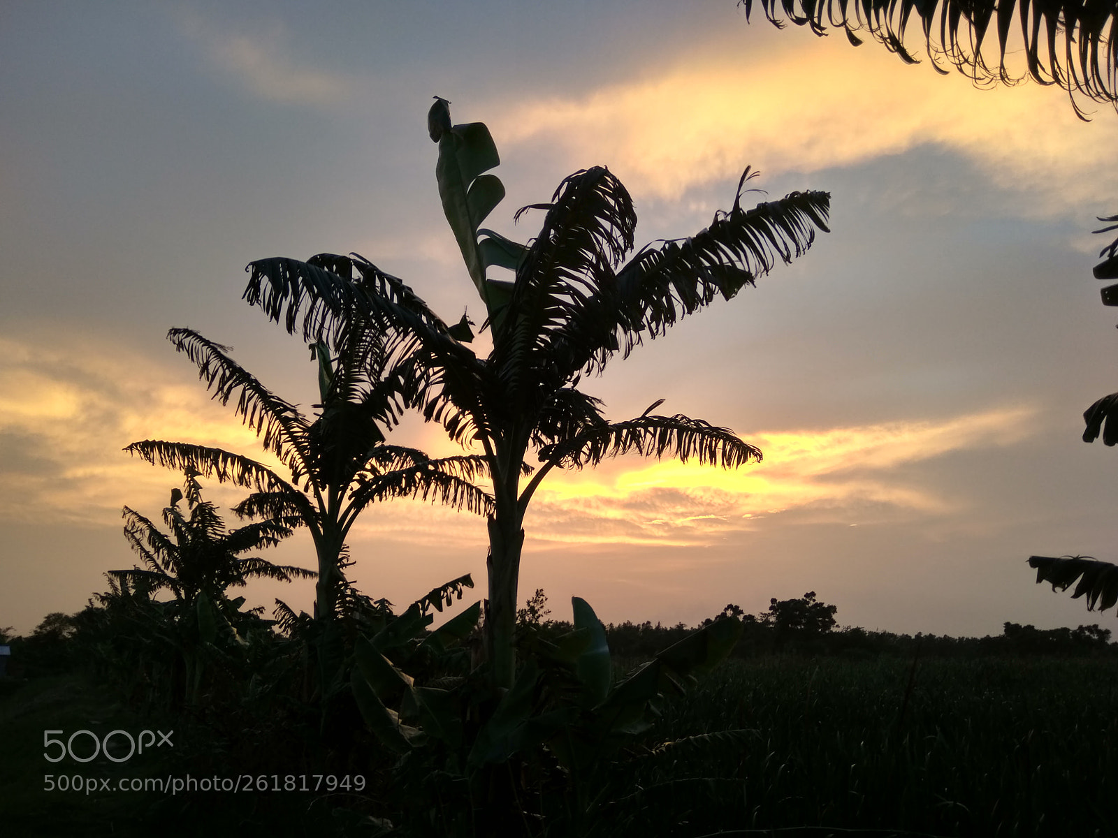 Xiaomi Redmi 5A sample photo. Untitled photography
