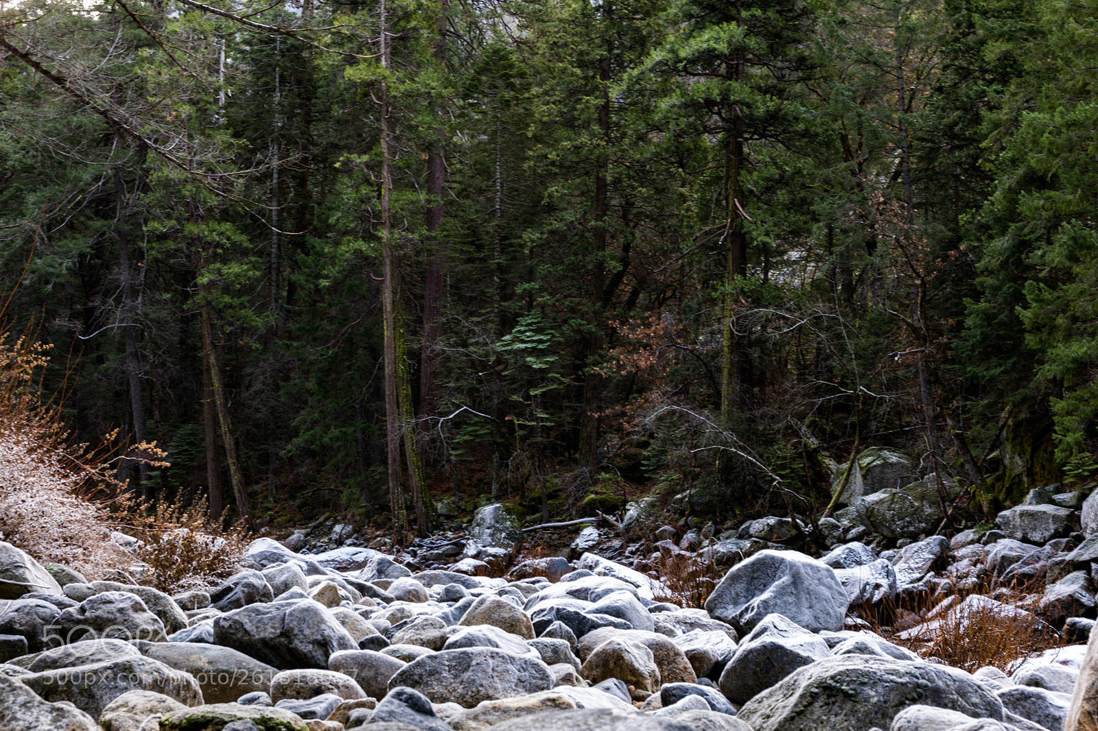 Canon EOS 5D Mark IV sample photo. On the rocks photography