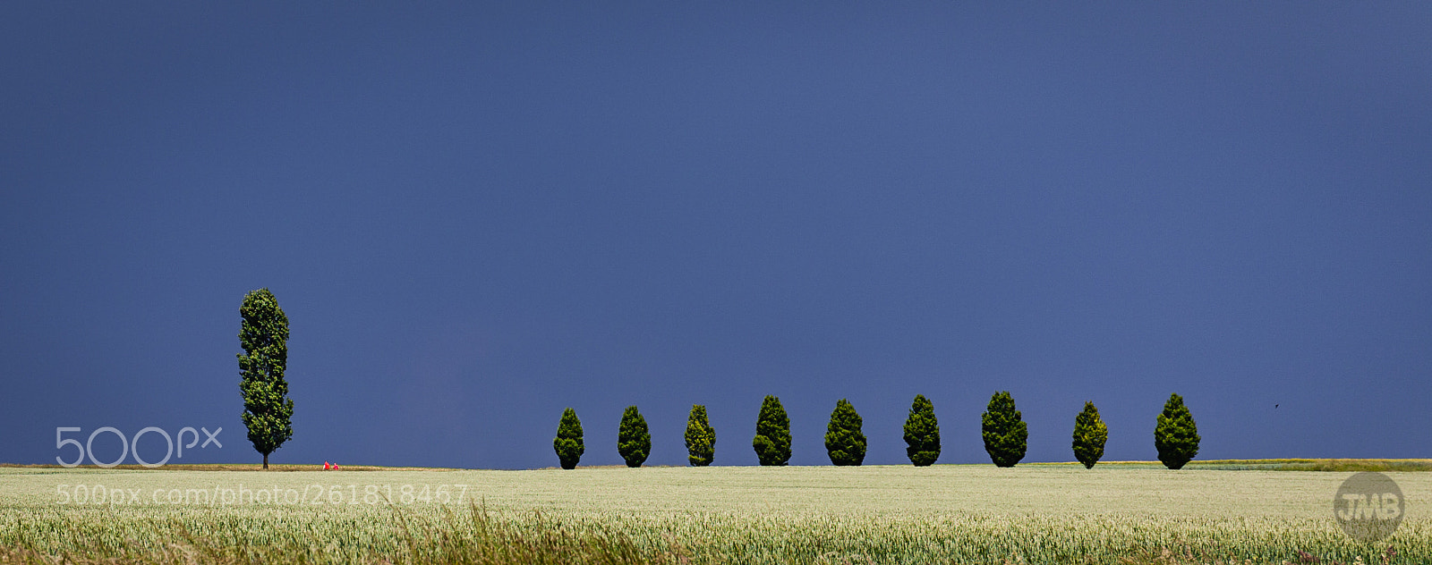 Canon EOS 5D Mark II sample photo. Before the storm photography