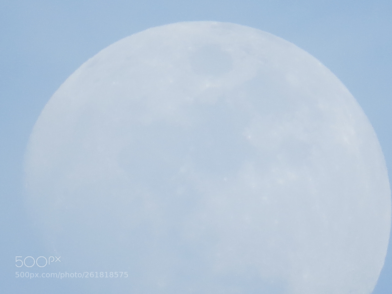 Canon PowerShot SX50 HS sample photo. Moon in day ! photography