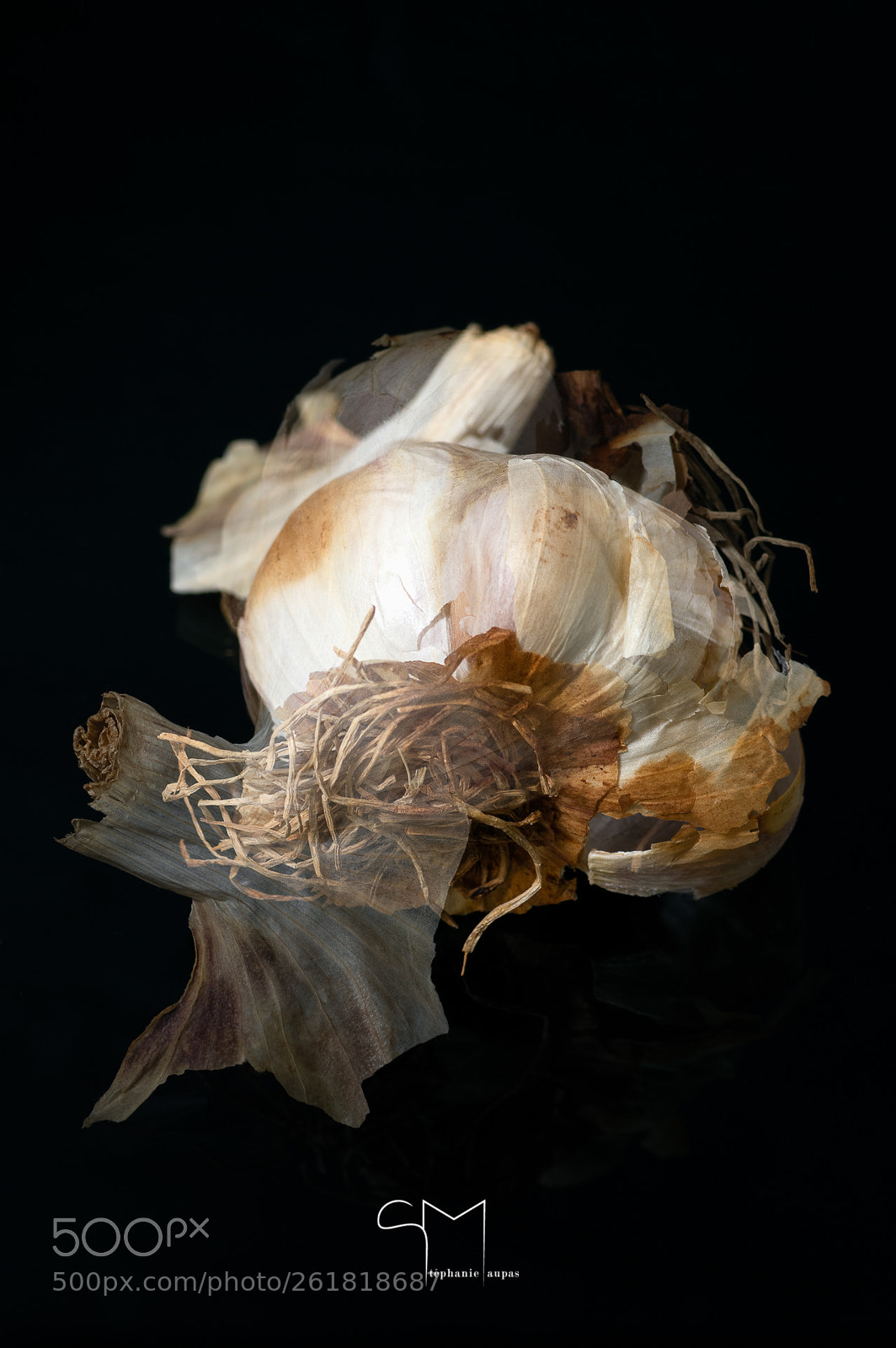 Pentax K-3 sample photo. Ail 2© stéphanie maupas photography
