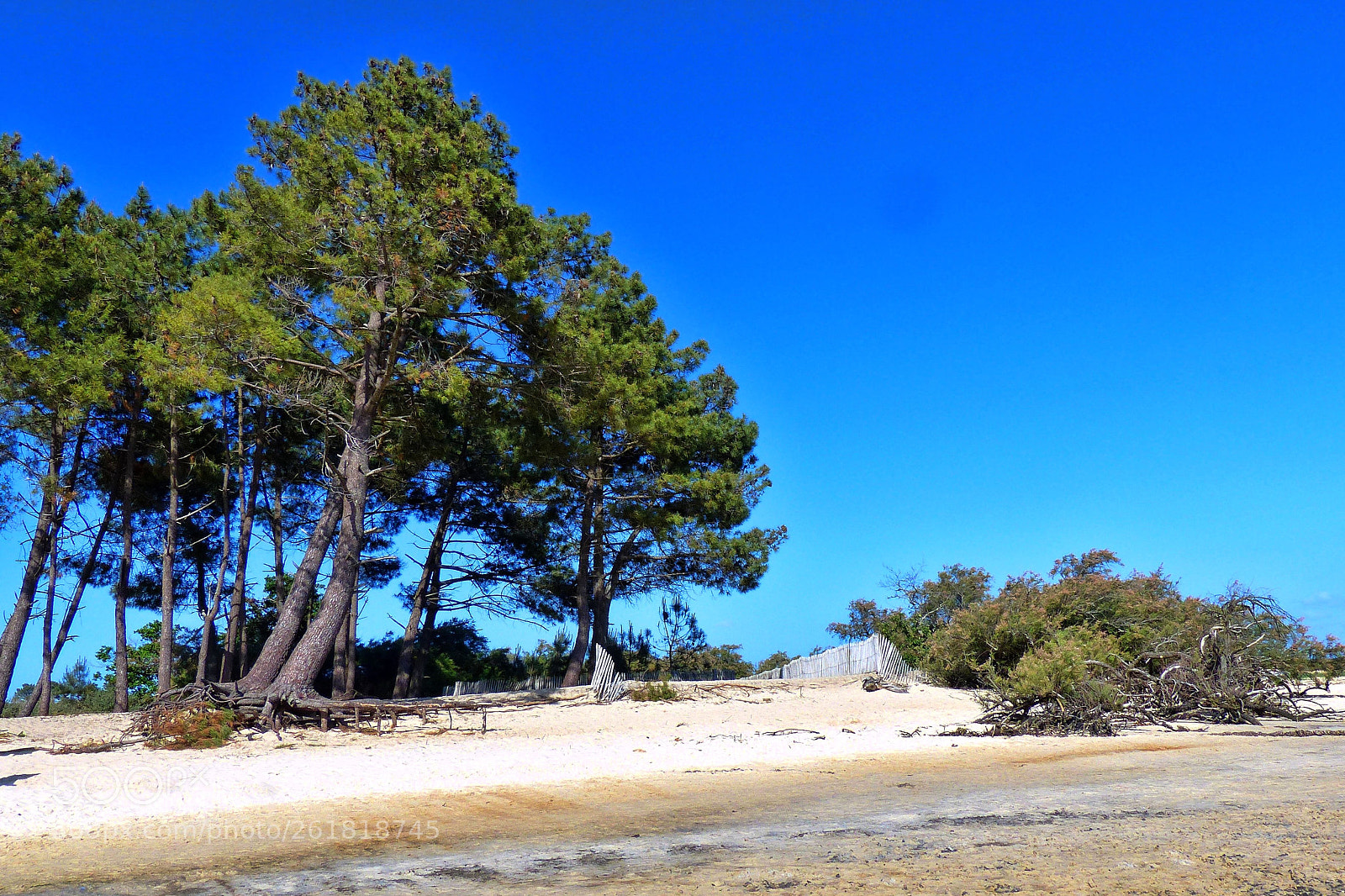 Panasonic Lumix DMC-FZ200 sample photo. Pointe des quinconces photography