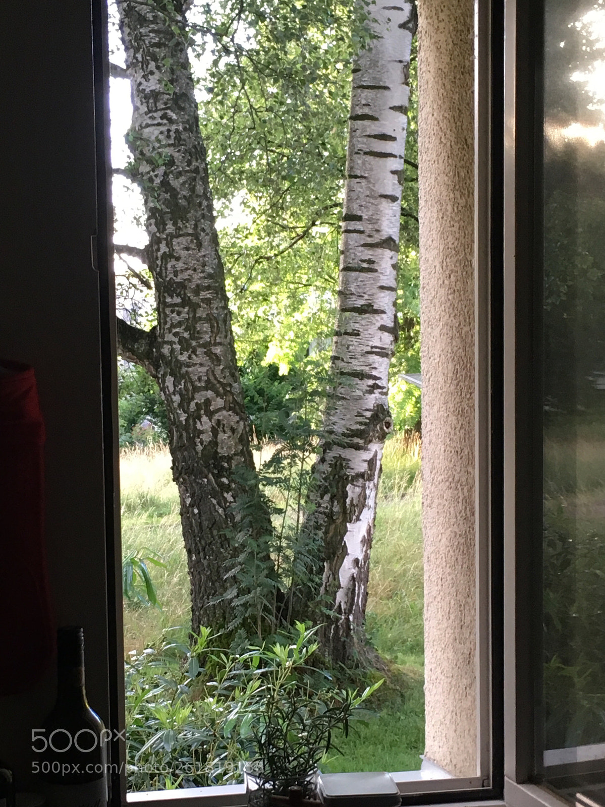 Apple iPhone SE sample photo. Victory from the kitchen photography