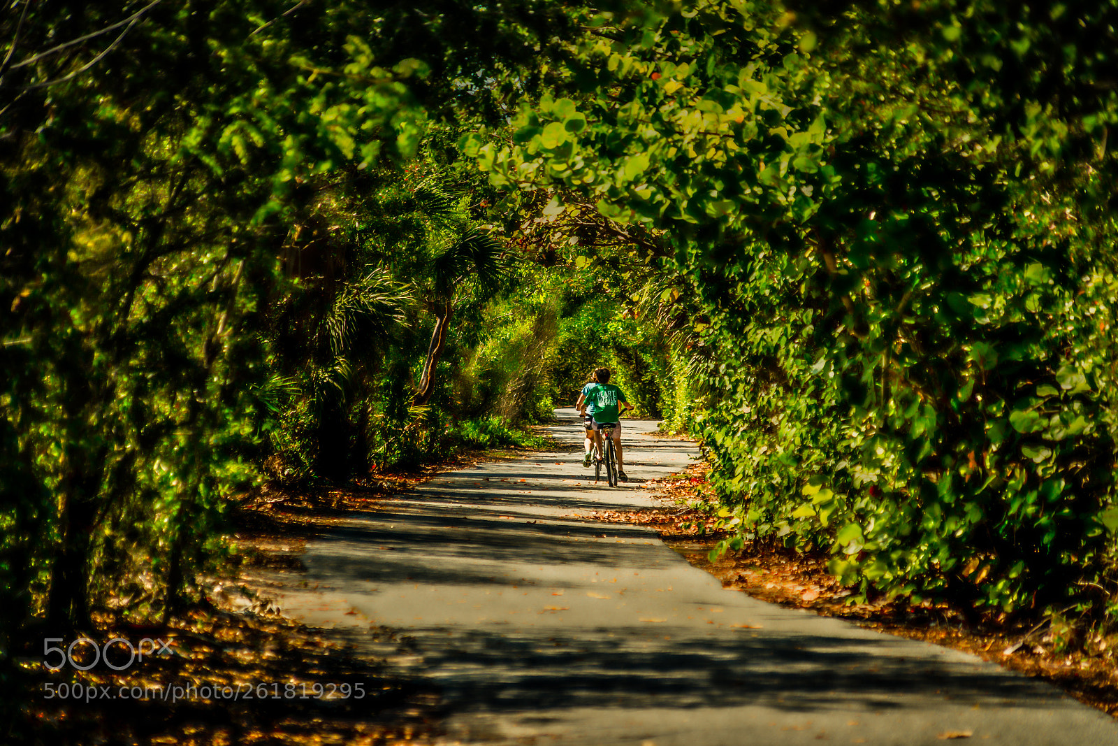 Sony a7R II sample photo. Tunnel trail photography