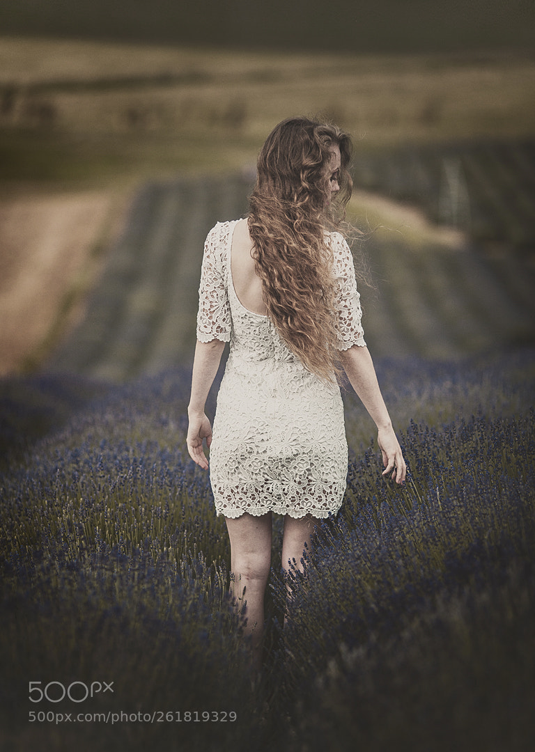 Canon EOS 5D Mark II sample photo. Lavender girl photography
