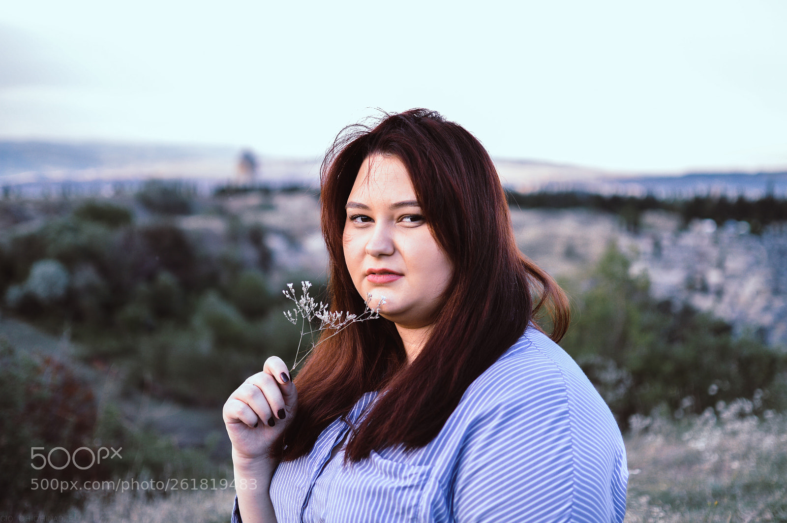 Nikon D3200 sample photo. Untitled photography