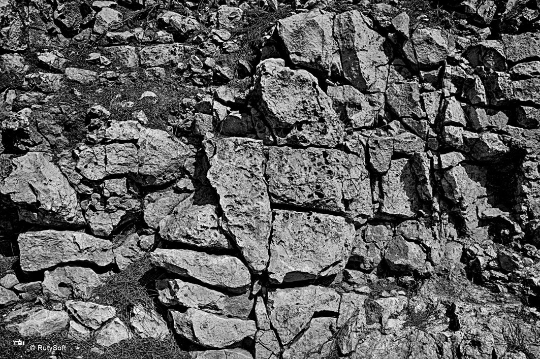 Nikon D3200 sample photo. B&w photography