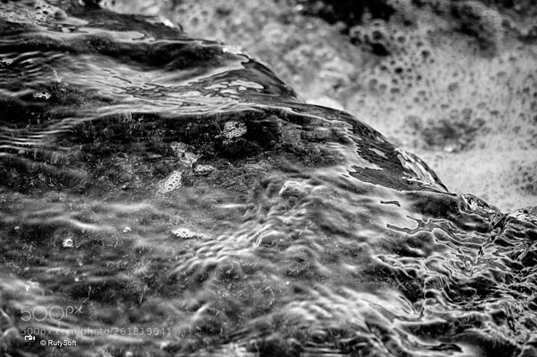 Nikon D3200 sample photo. B&w photography