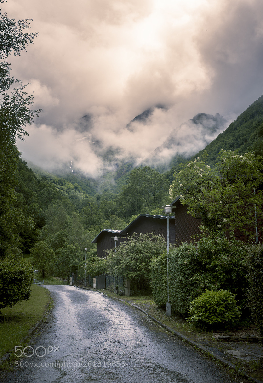 Nikon D7200 sample photo. To the clouds photography