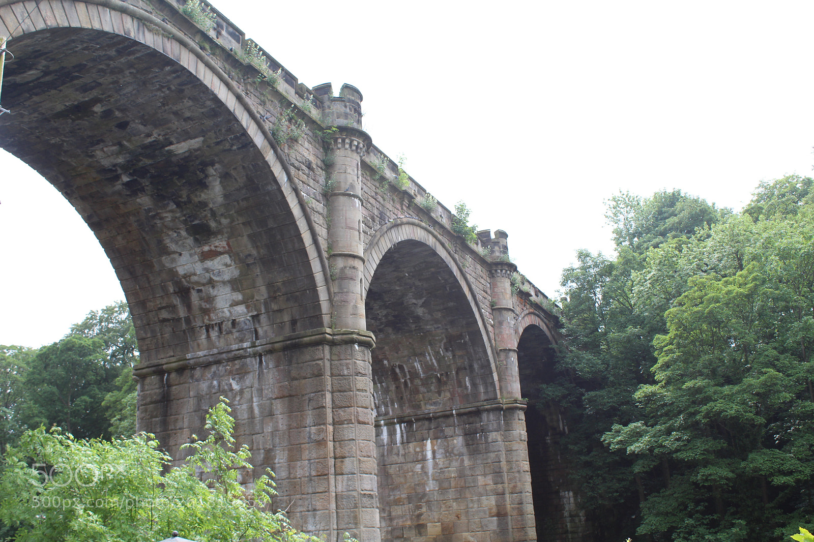 Canon EOS 1300D (EOS Rebel T6 / EOS Kiss X80) sample photo. Knaresborough viaduct photography