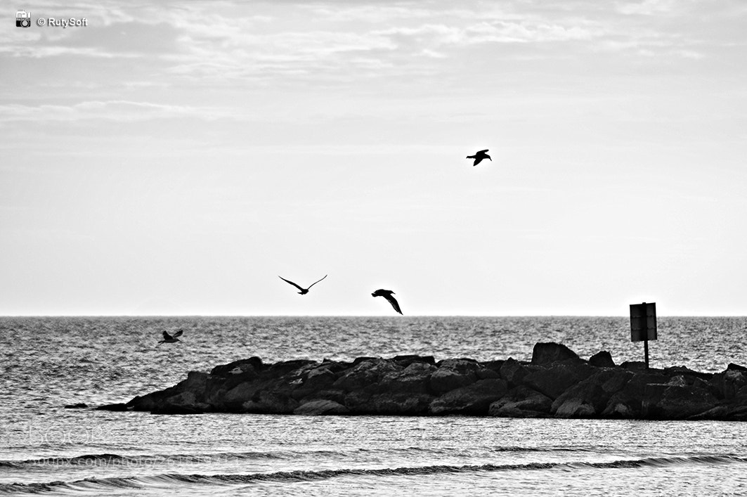 Nikon D3200 sample photo. B&w photography