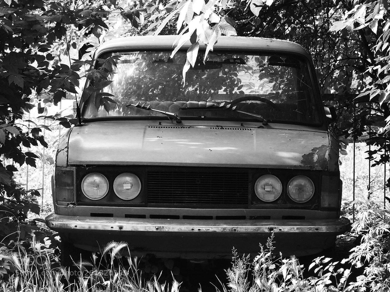Nikon Coolpix P900 sample photo. Bnw photography
