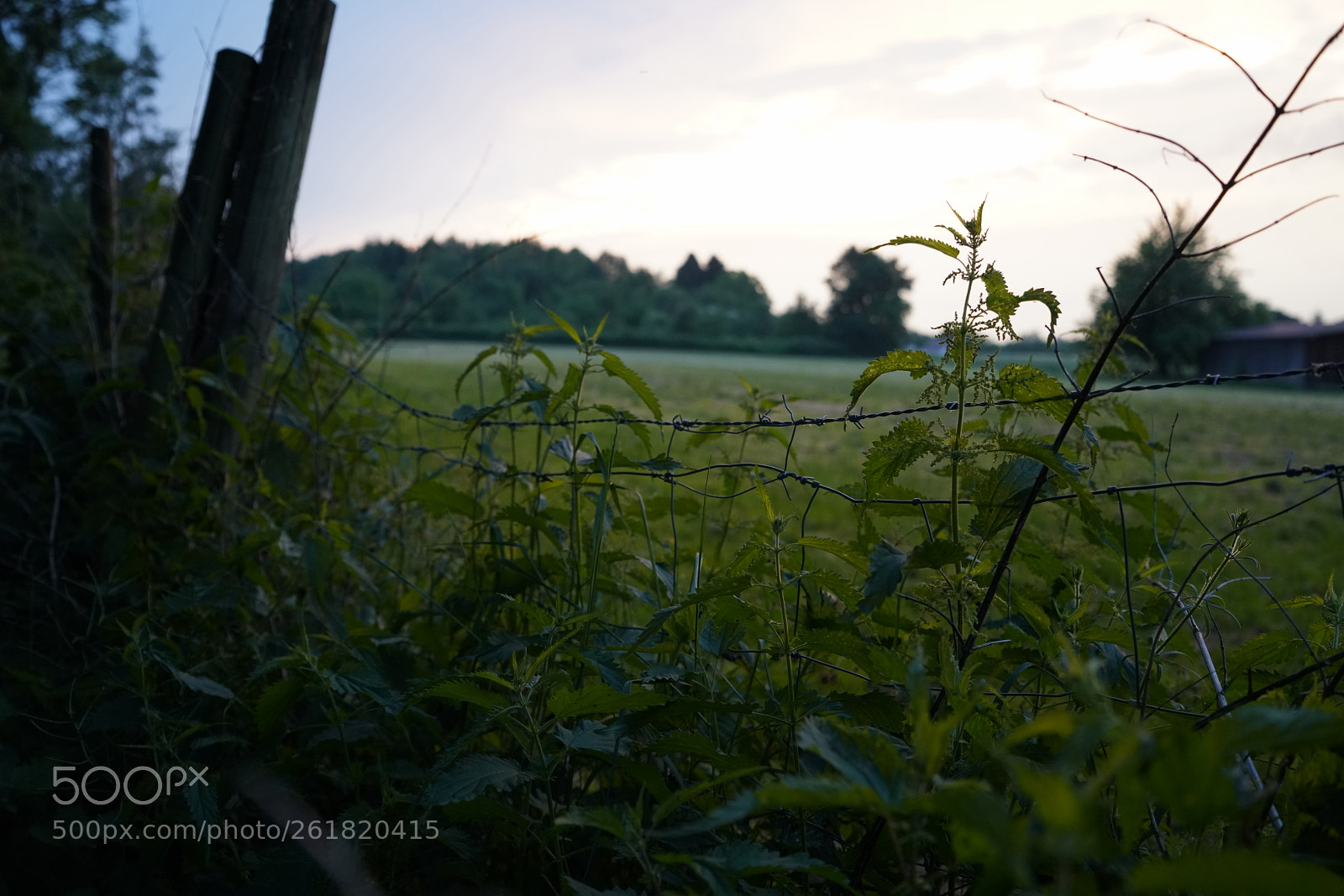 Sony a7R III sample photo. Evening mood photography