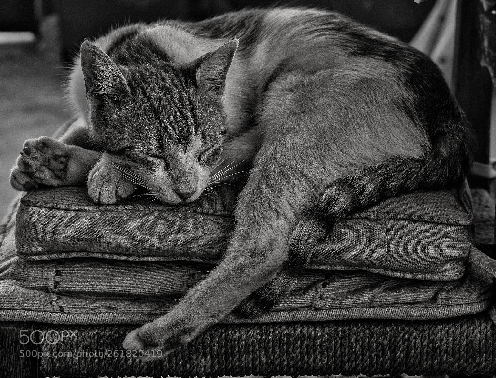 Olympus OM-D E-M10 sample photo. After a night on photography