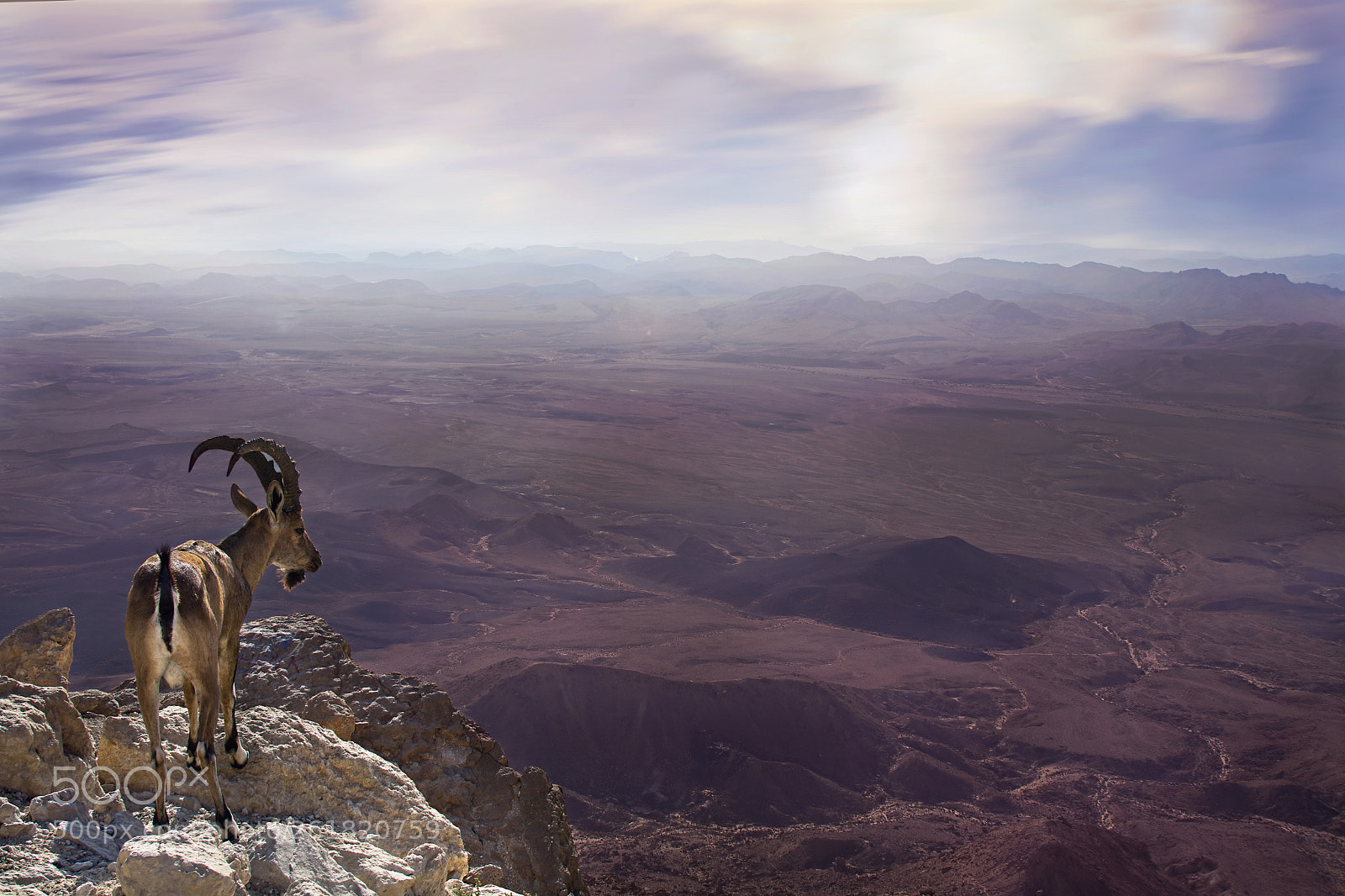 Nikon D7100 sample photo. Mitzpe ramon, israel photography