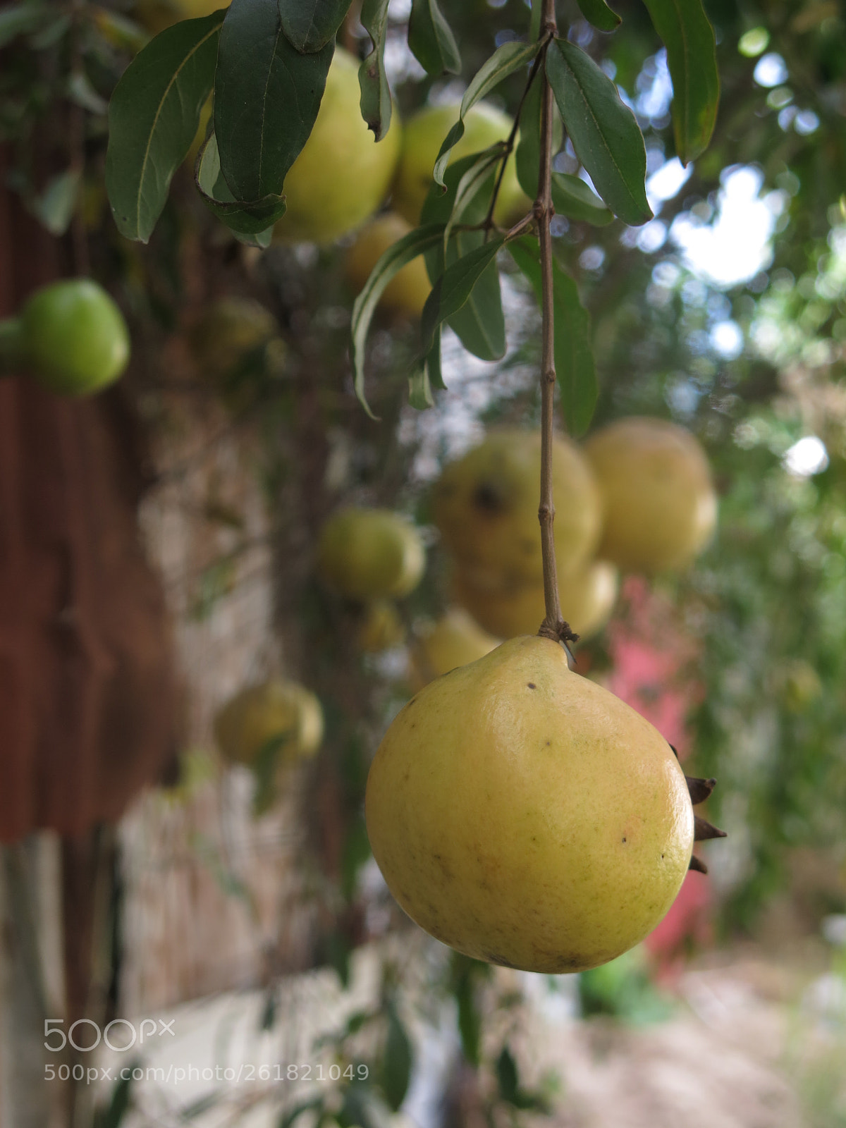 Canon PowerShot G15 sample photo. Img photography