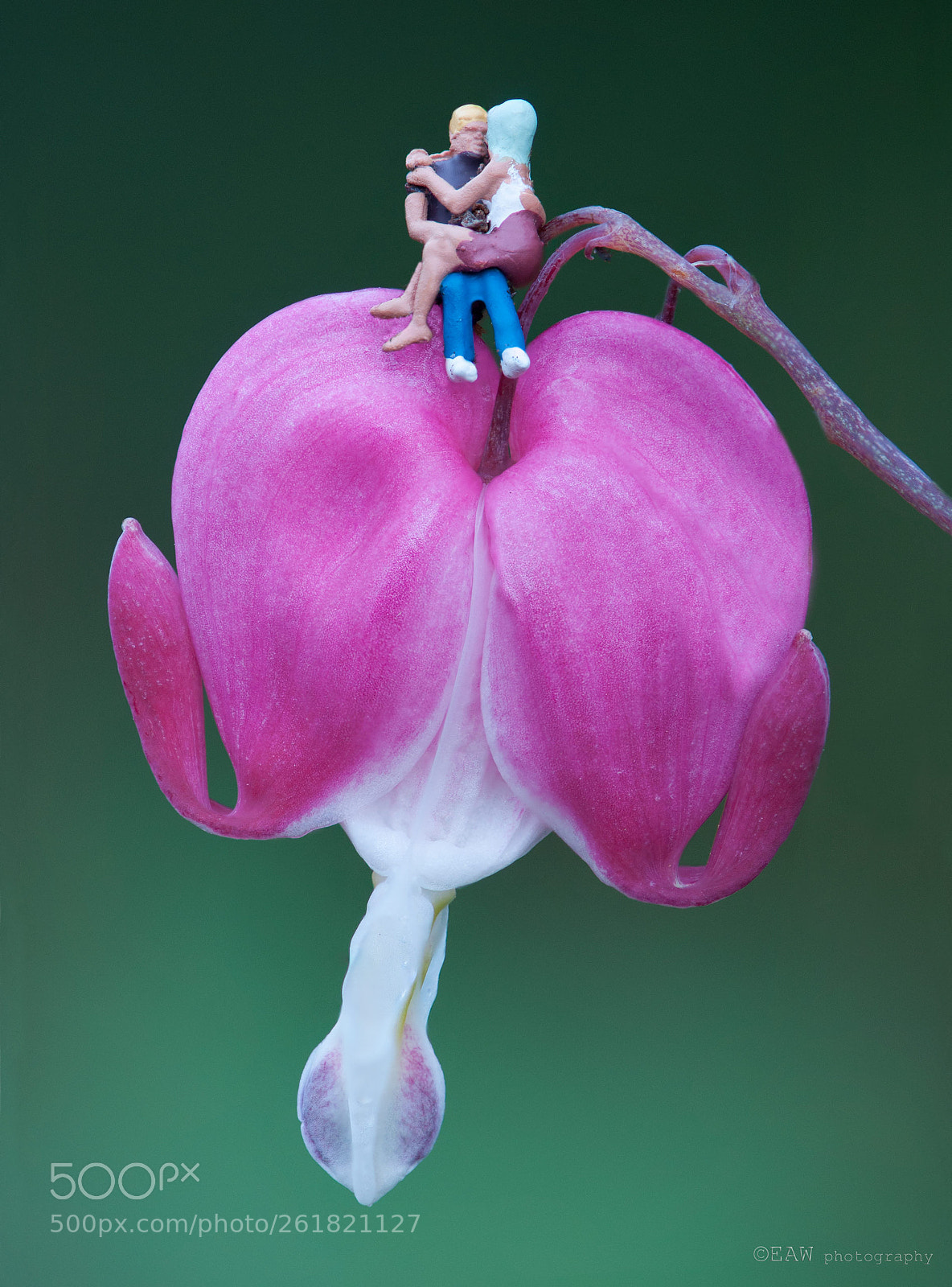 Nikon D300 sample photo. Love in every way photography