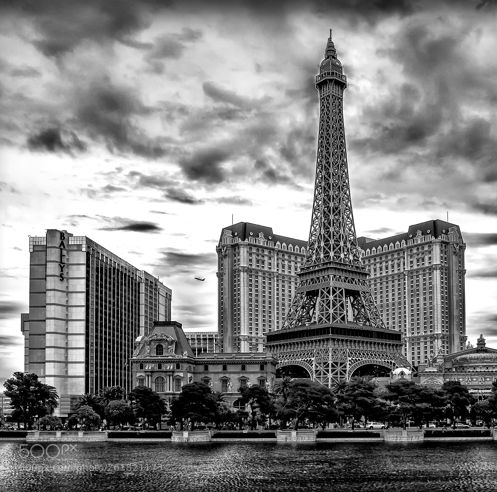 Nikon D800E sample photo. Vegas in black and photography