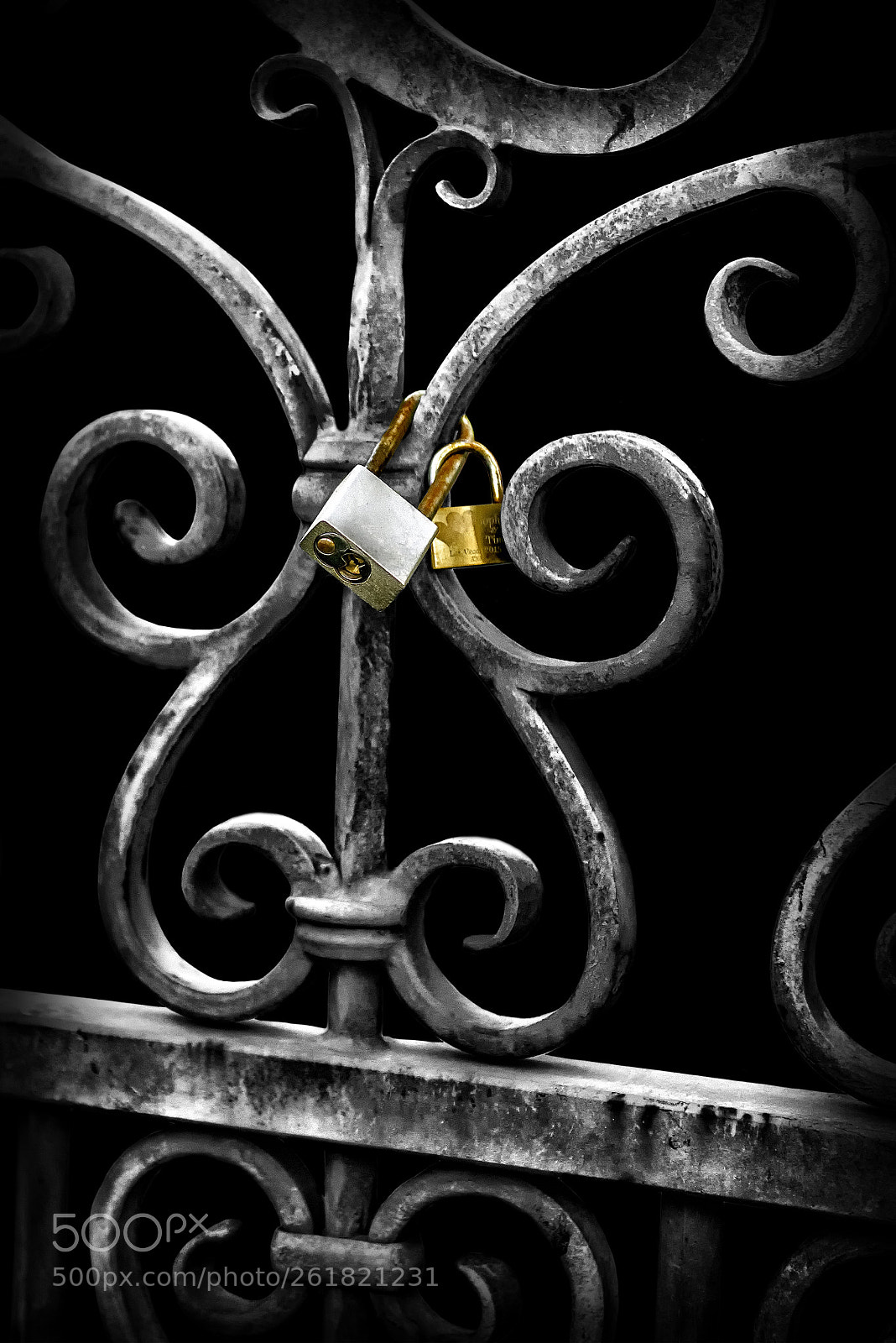 Nikon D800E sample photo. Vegas in black and photography