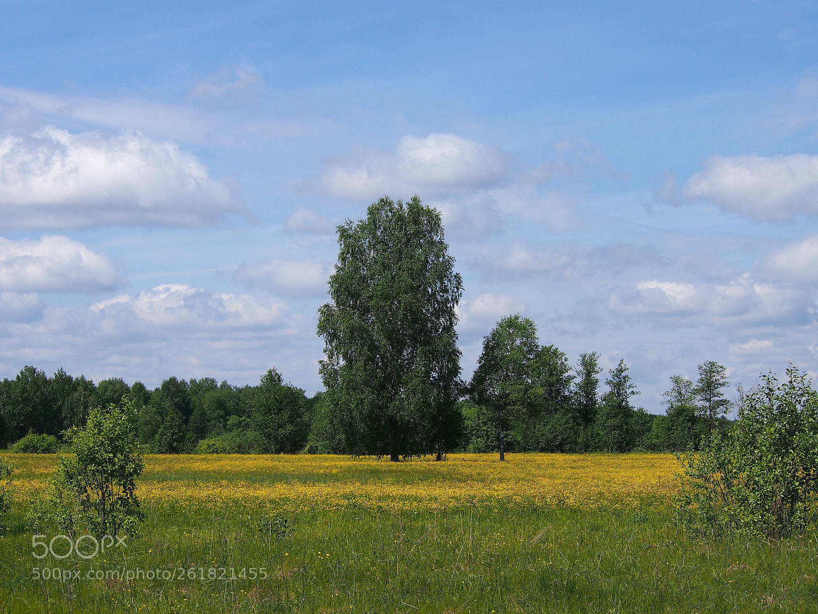 Olympus PEN E-PM1 sample photo. Springtime. photography