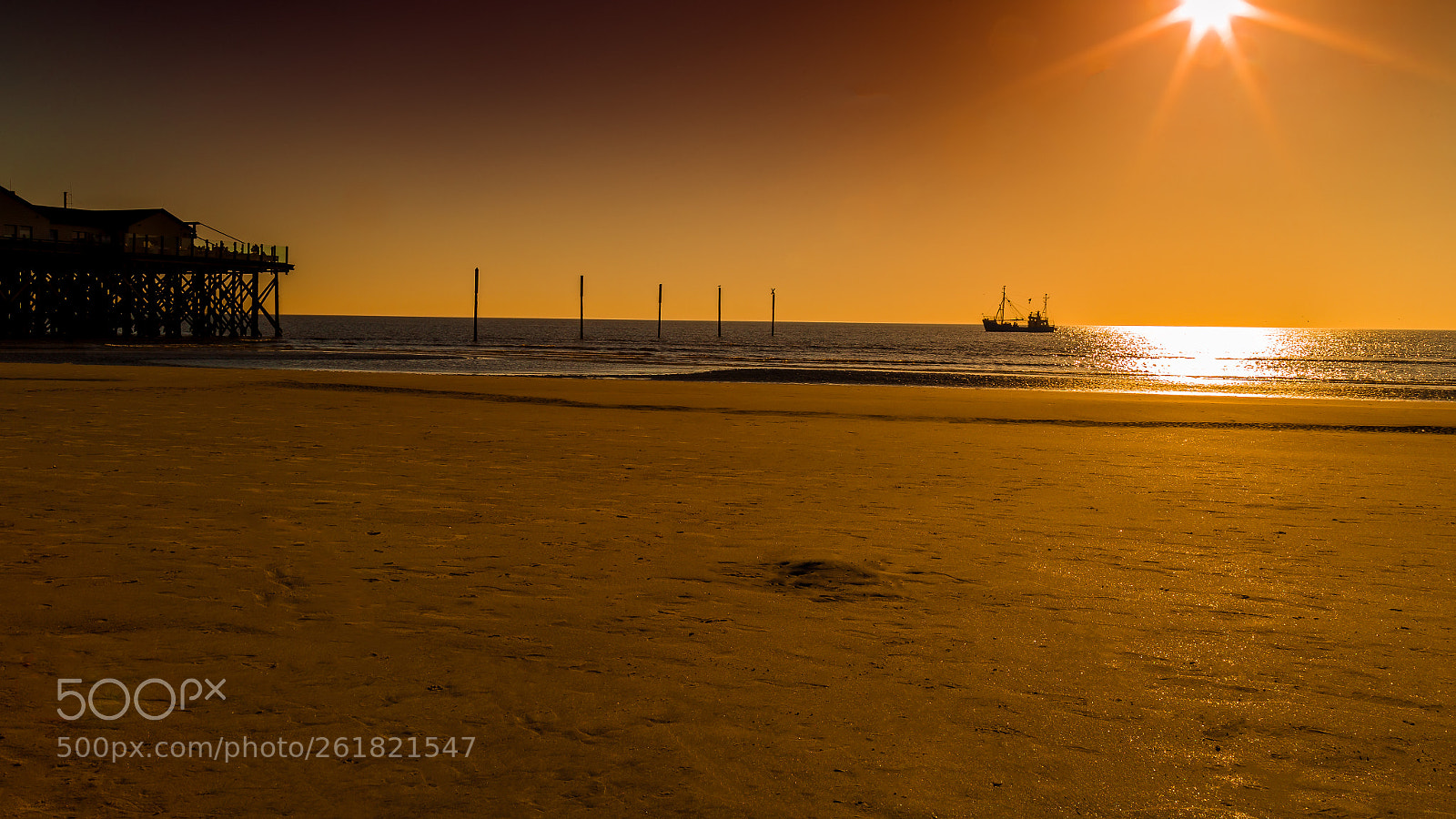 Canon EOS 6D sample photo. Golden hour in spo photography