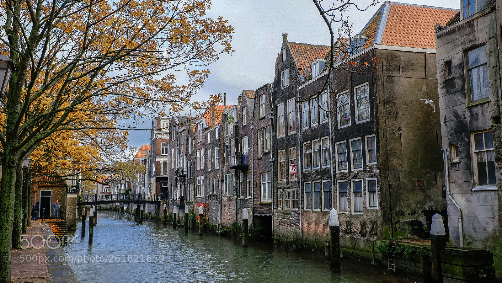 Fujifilm X100T sample photo. Fall in dordrecht photography