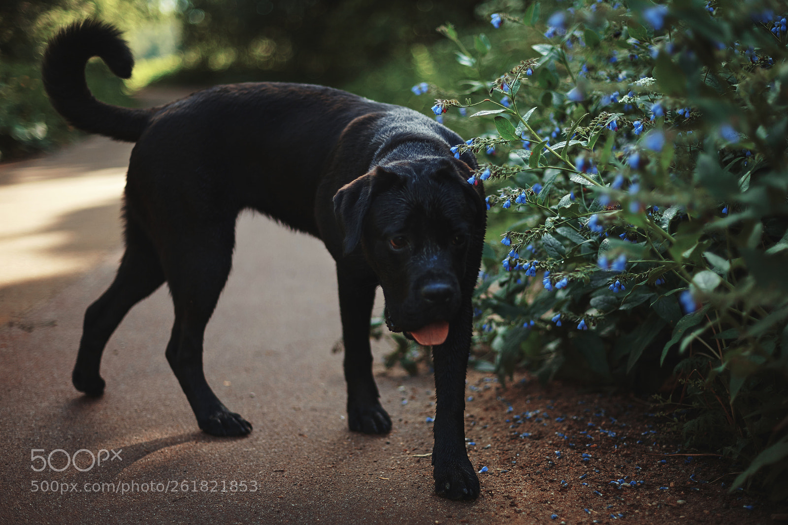 Canon EOS 5D Mark II sample photo. Ulsei photographer elena ukolova photography