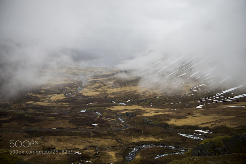 Nikon D610 sample photo. Foggy day in icelandic photography
