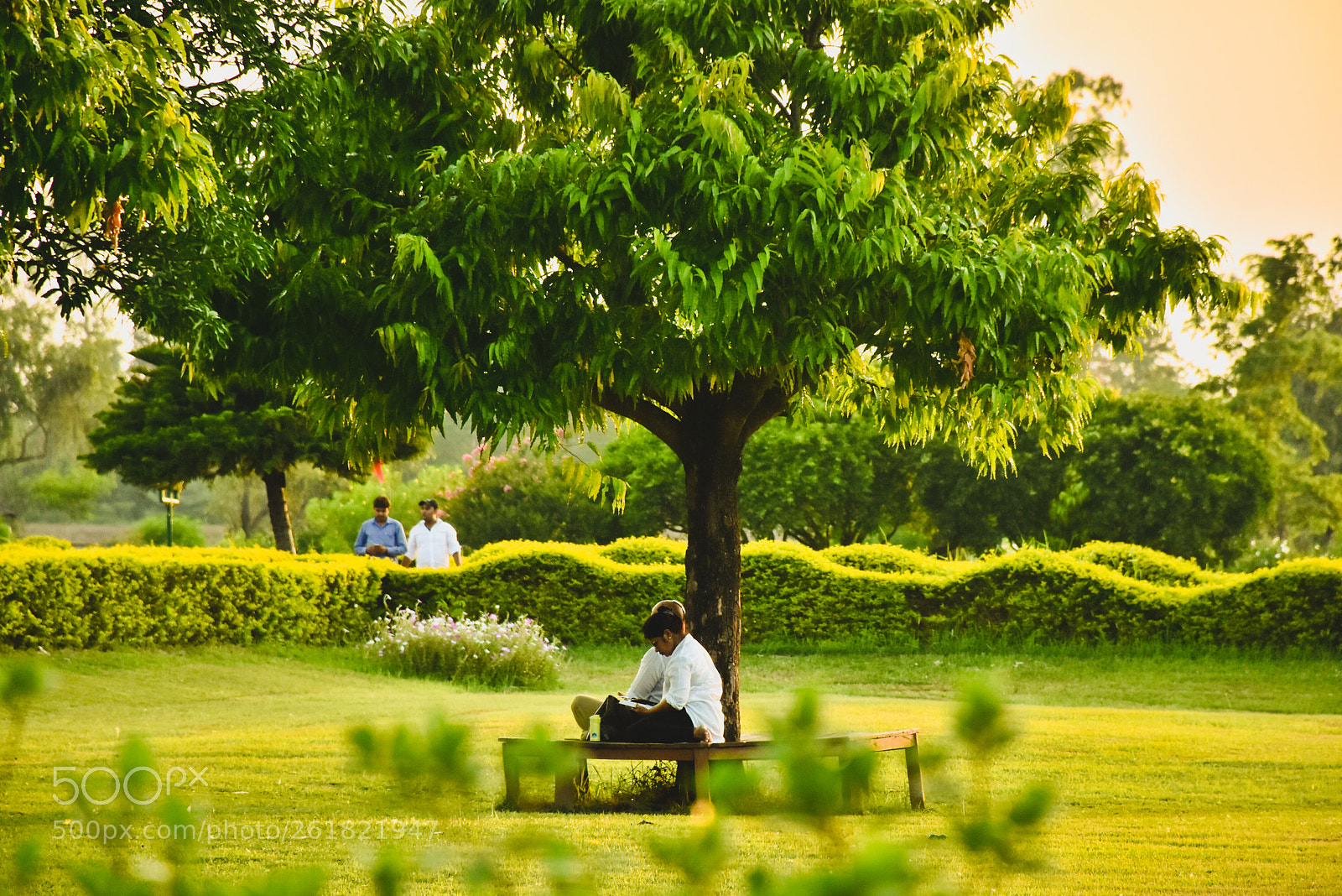 Nikon D7200 sample photo. Meditation under the tree photography