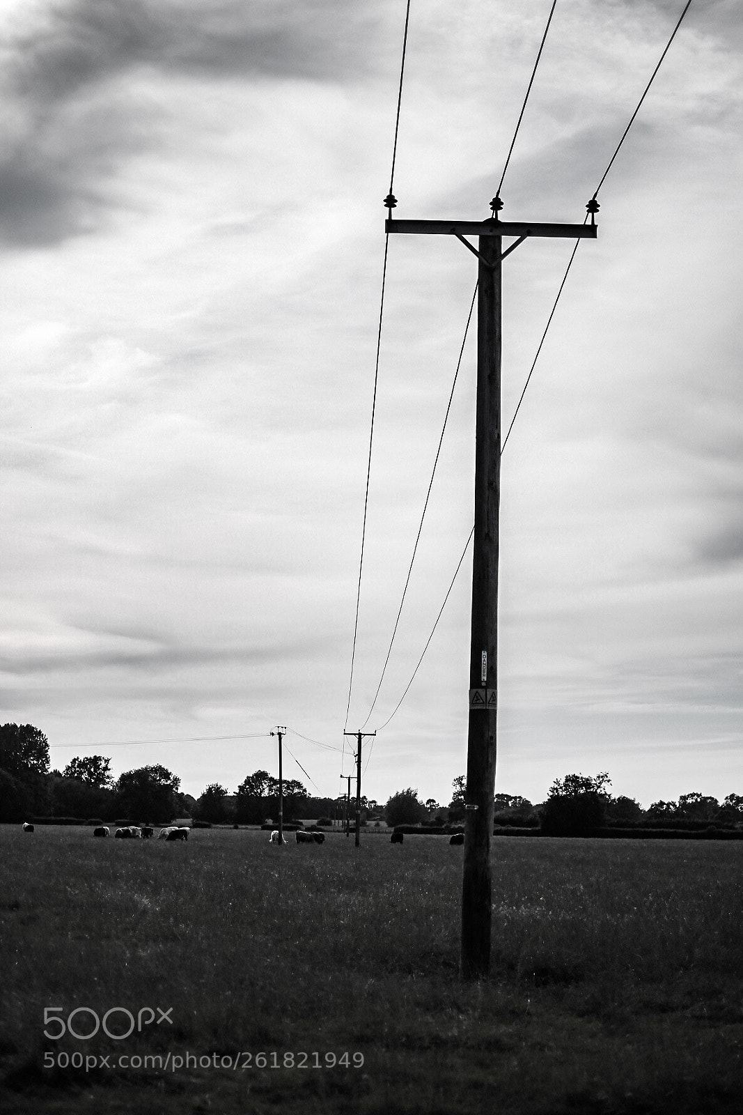 Fujifilm X-T10 sample photo. Untitled photography