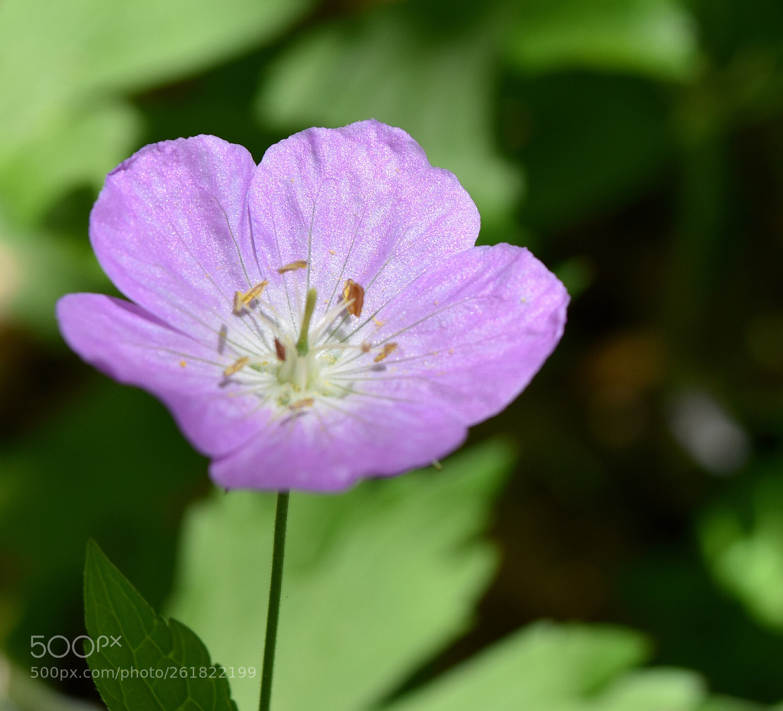 Nikon D5500 sample photo. Untitled photography