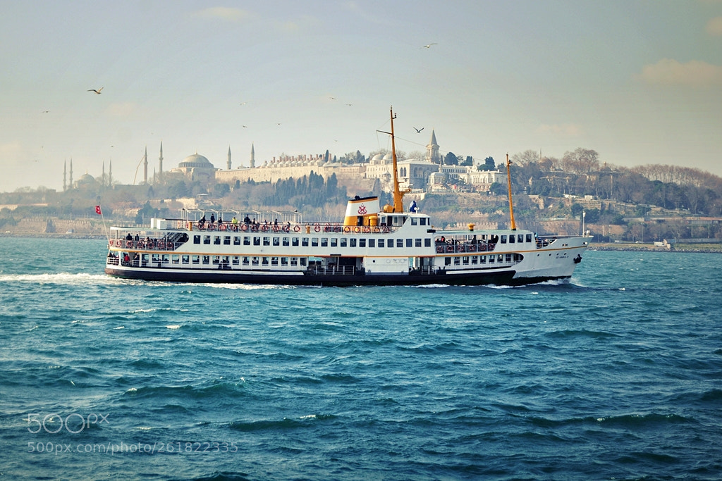 Nikon D5000 sample photo. Stanbul. in the capital photography