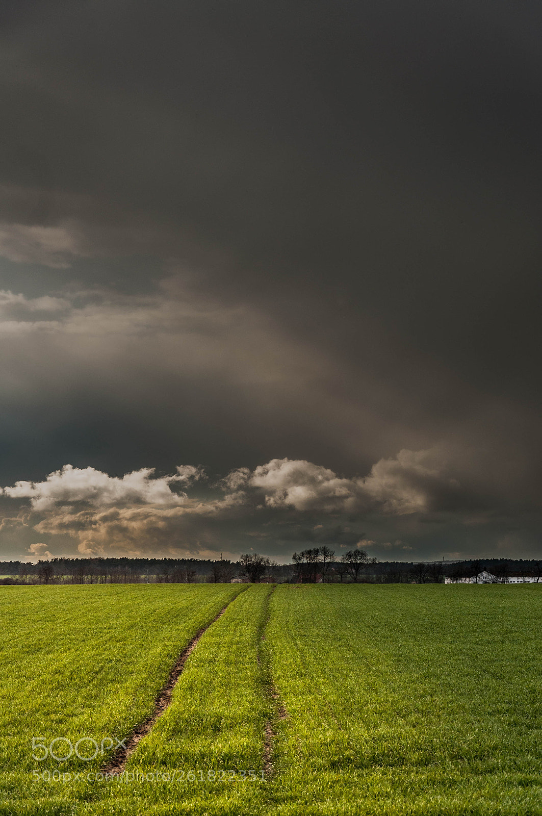 Nikon D90 sample photo. Field photography