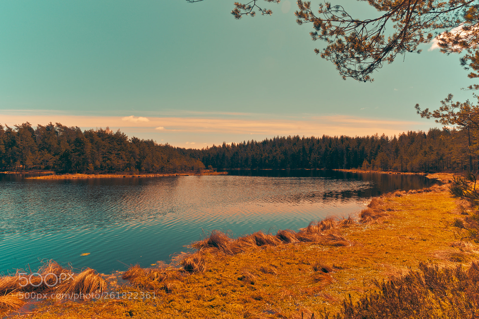 Nikon D750 sample photo. Lake view photography