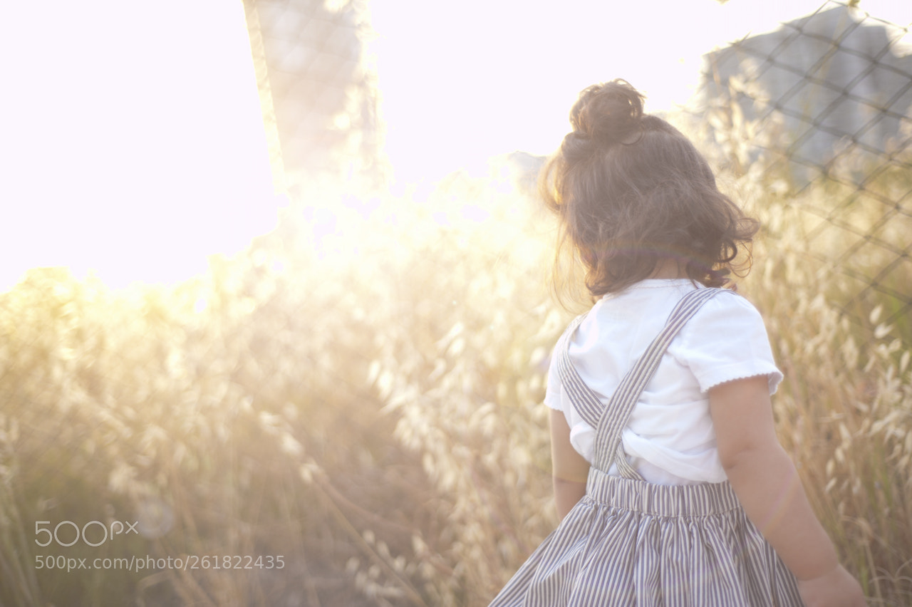 Nikon D700 sample photo. Summer time photography