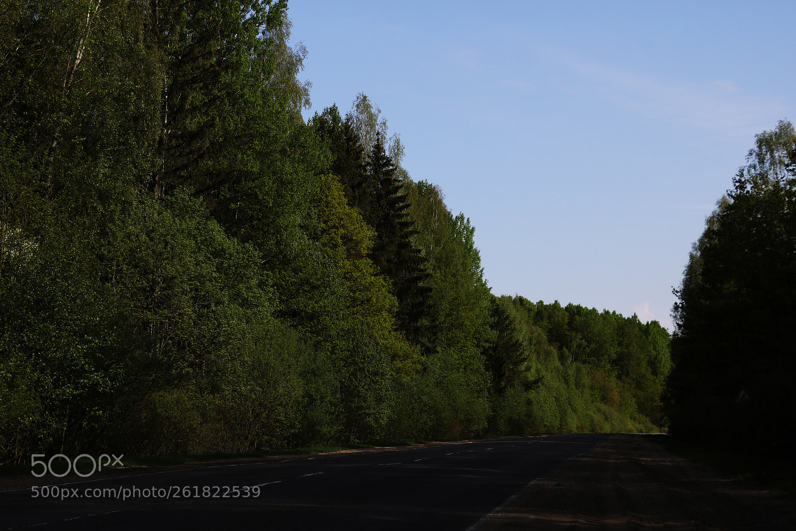 Canon EOS 750D (EOS Rebel T6i / EOS Kiss X8i) sample photo. A view of the photography