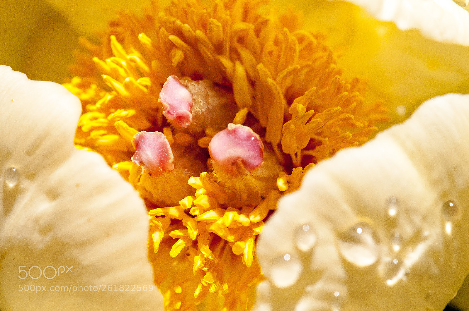 Nikon D300 sample photo. Edited photography