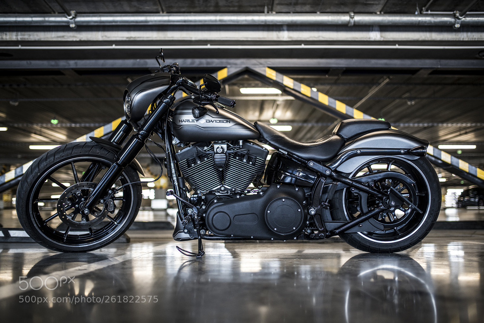 Nikon D850 sample photo. Harley davidson photography