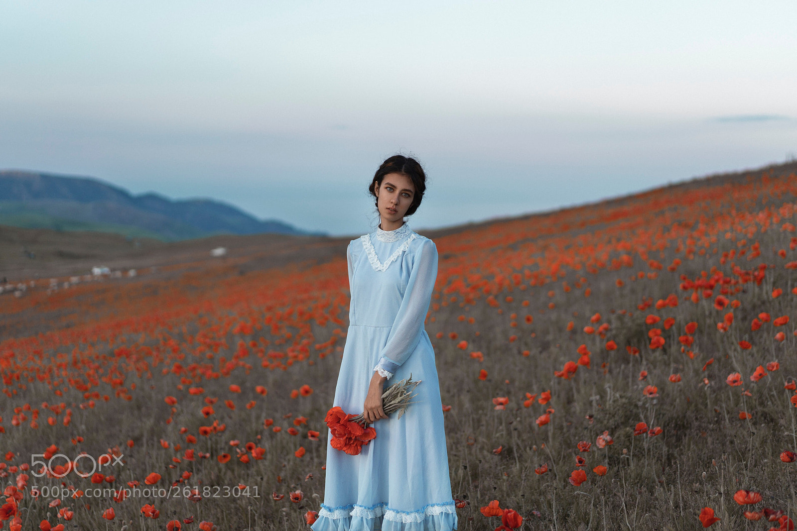 Sony a7R II sample photo. Untitled photography