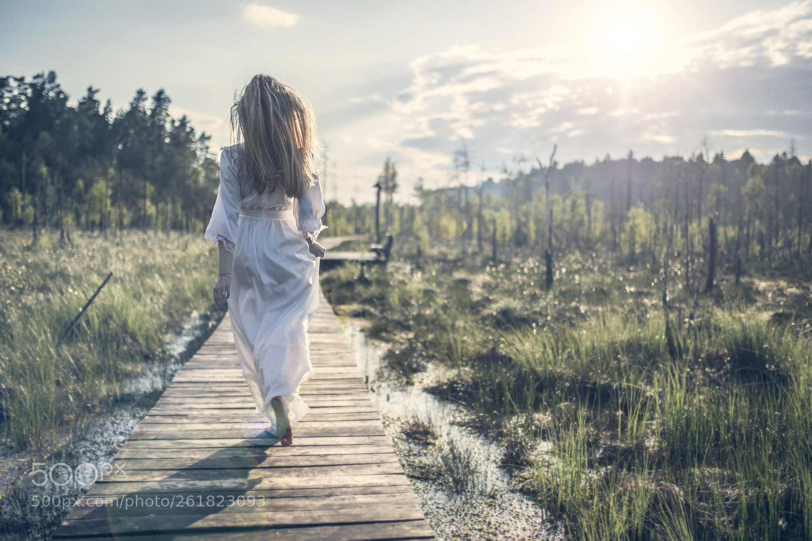 Nikon D850 sample photo. Walking to the sun photography