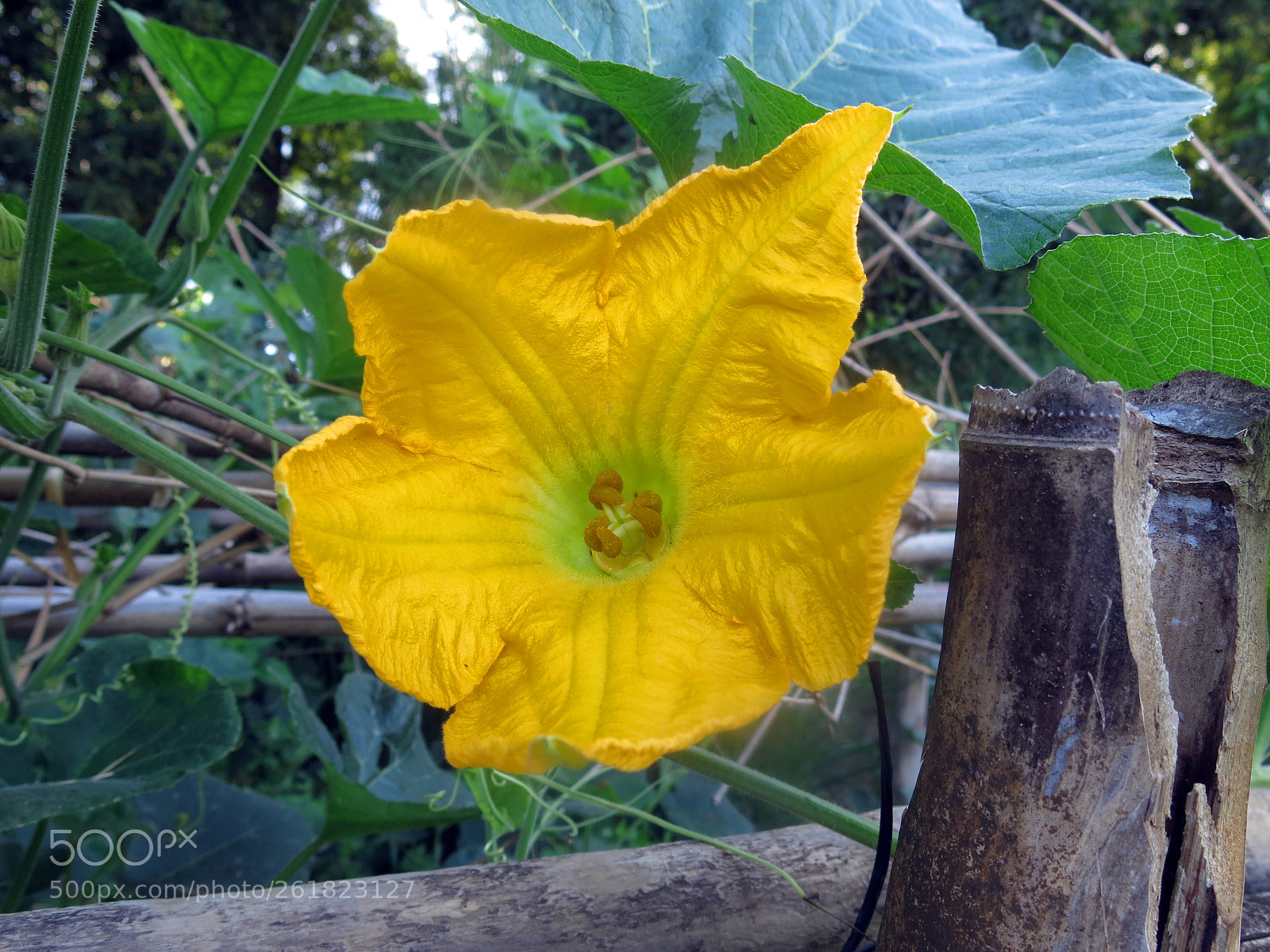 Canon PowerShot G15 sample photo. Img photography