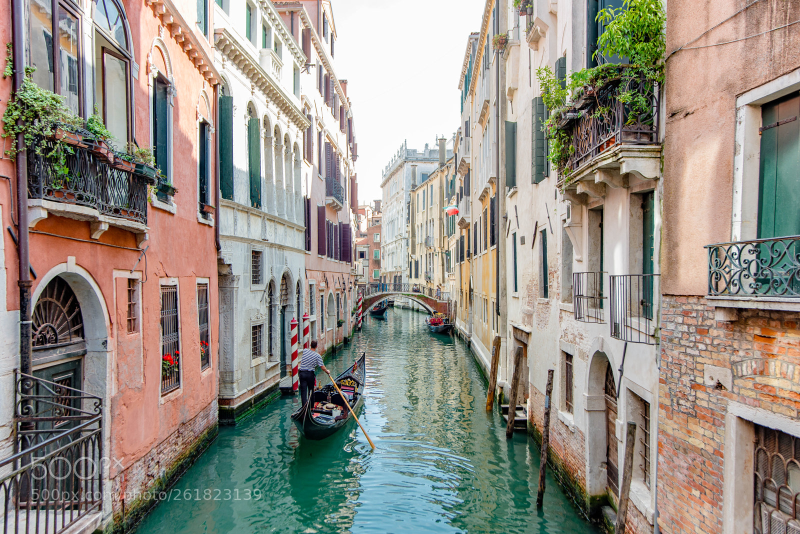 Nikon D610 sample photo. Venice / Венеция photography