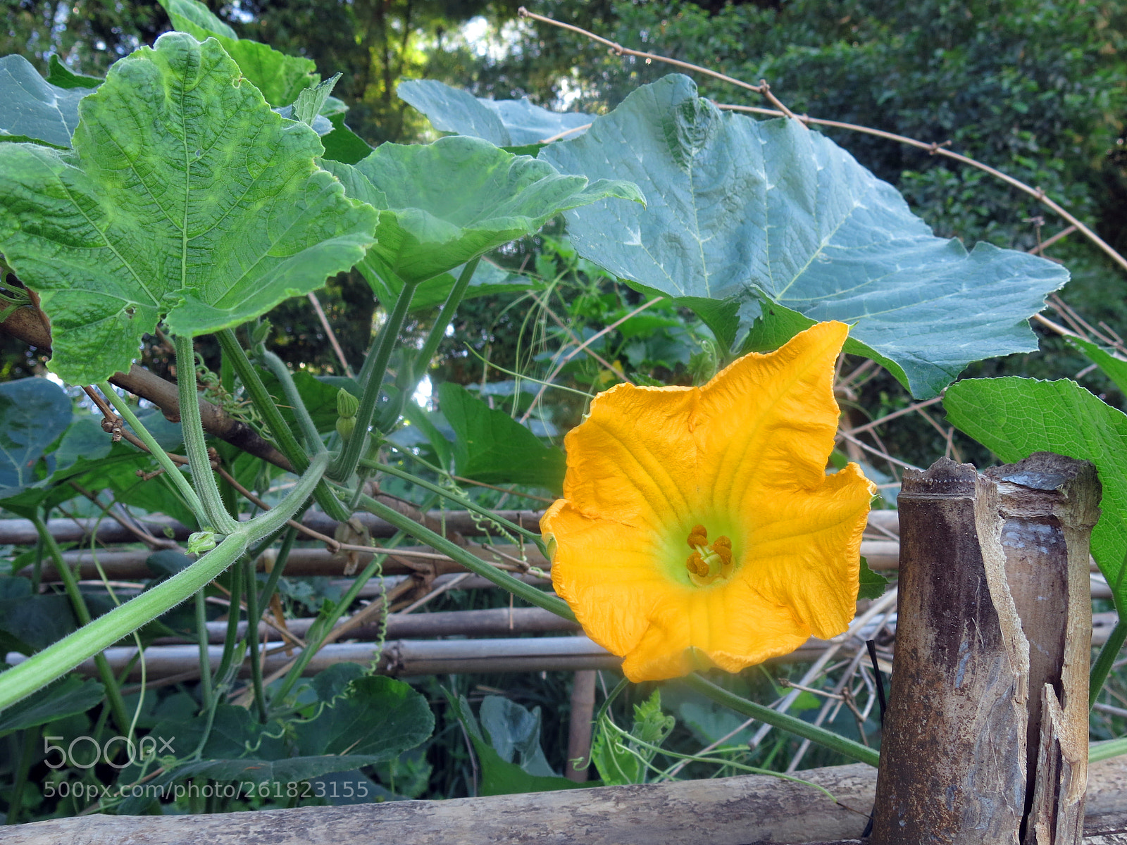 Canon PowerShot G15 sample photo. Img photography